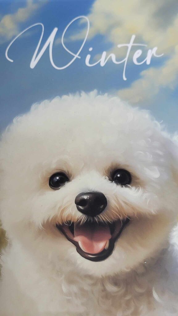 Image #4 from Jun Bermudez