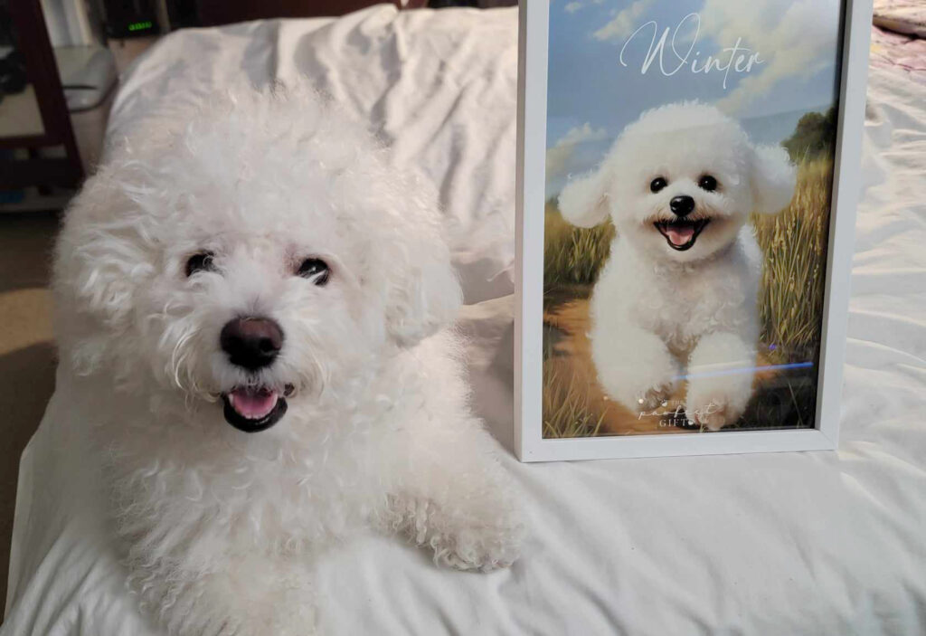 Image #1 from Jun Bermudez