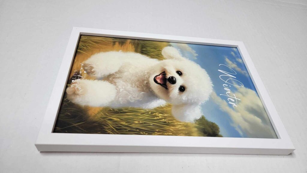 Image #3 from Jun Bermudez