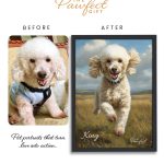 Create Pet Portrait