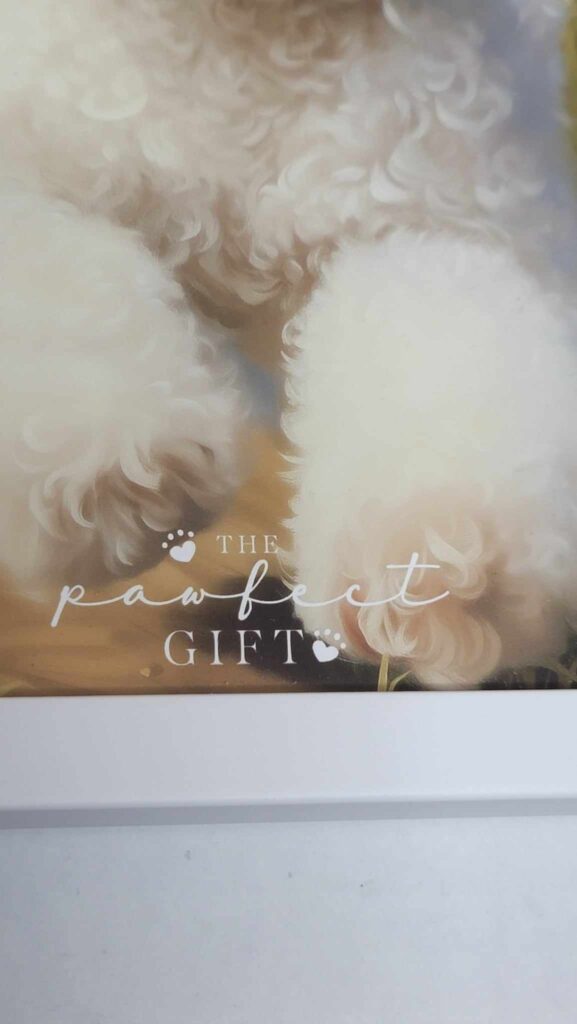 Image #5 from Jun Bermudez