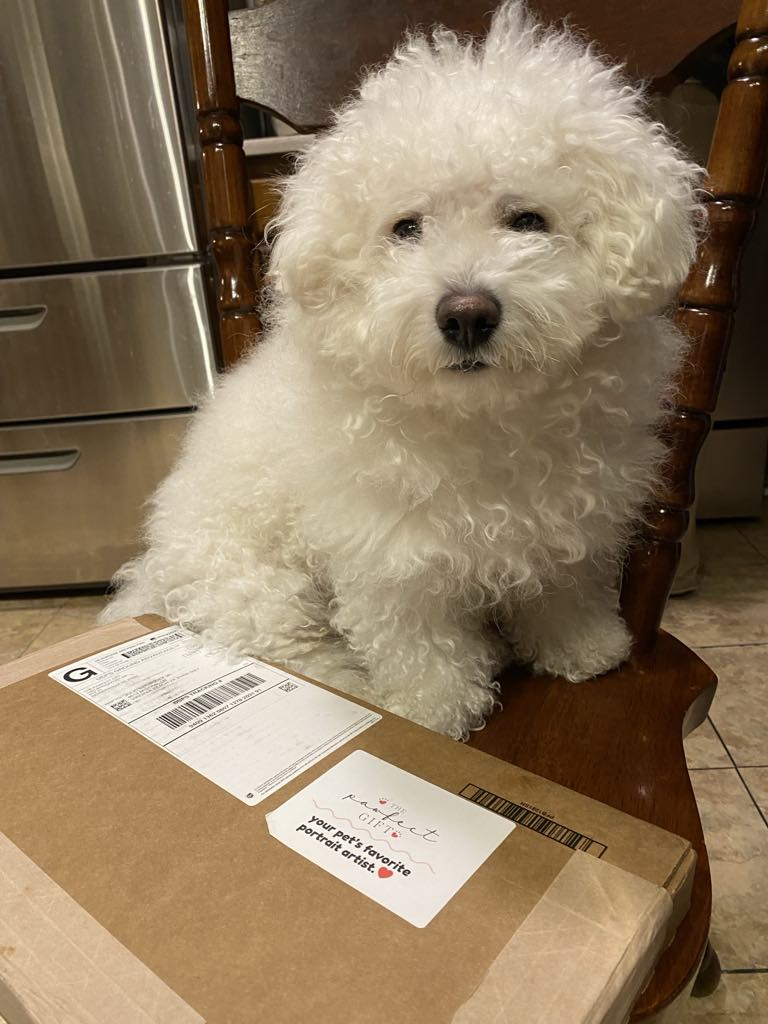 Image #2 from Jun Bermudez