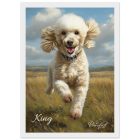 8c358d91-8832-4fdc-a02d-304401d36d18